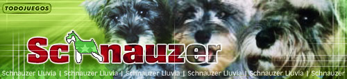 [Image: Schnauzer_lluvia.jpg]